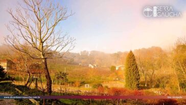 Descubra a Serra Gaúcha além de Gramado e Canela: um tesouro de encantos