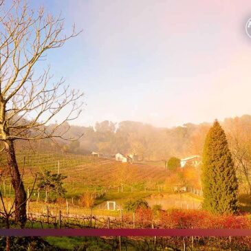 Descubra a Serra Gaúcha além de Gramado e Canela: um tesouro de encantos